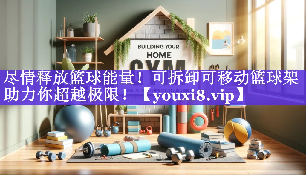 尽情释放篮球能量！可拆卸可移动篮球架助力你超越极限！
