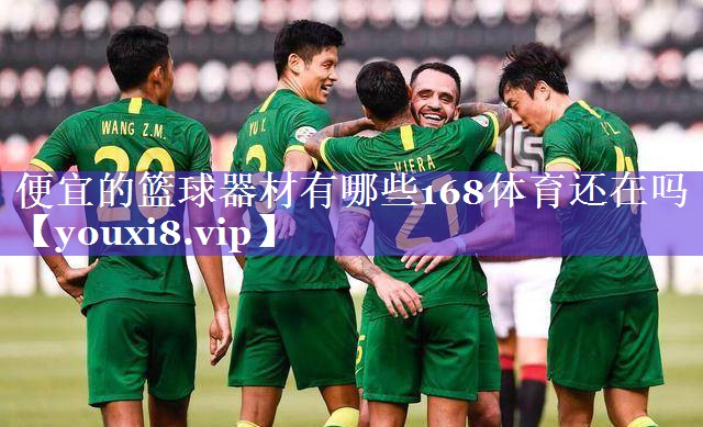 便宜的篮球器材有哪些168体育还在吗