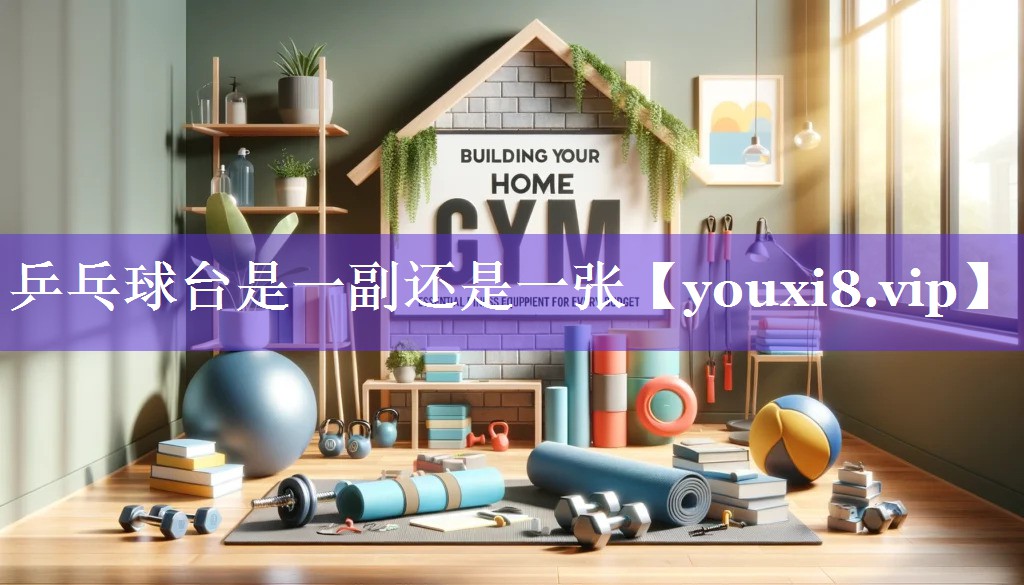 乒乓球台是一副还是一张