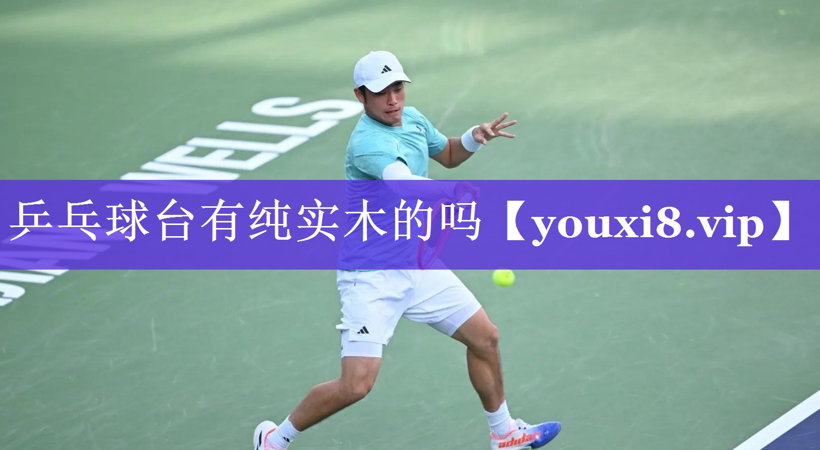 乒乓球台有纯实木的吗