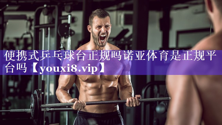 便携式乒乓球台正规吗诺亚体育是正规平台吗