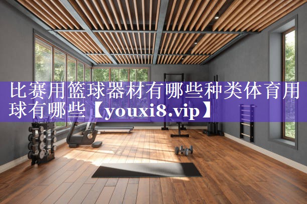 比赛用篮球器材有哪些种类体育用球有哪些