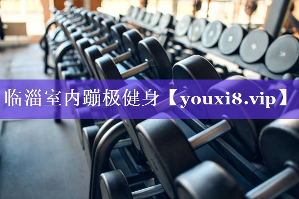 临淄室内蹦极健身