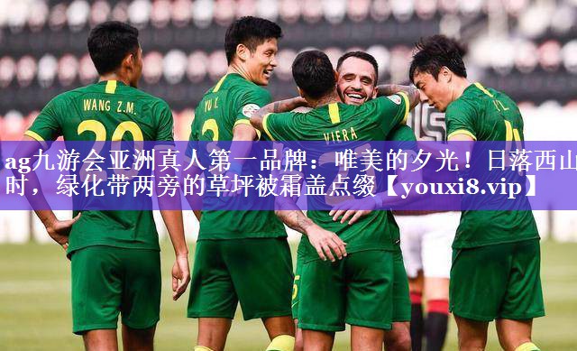 ag九游会亚洲真人第一品牌：唯美的夕光！日落西山时，绿化带两旁的草坪被霜盖点缀