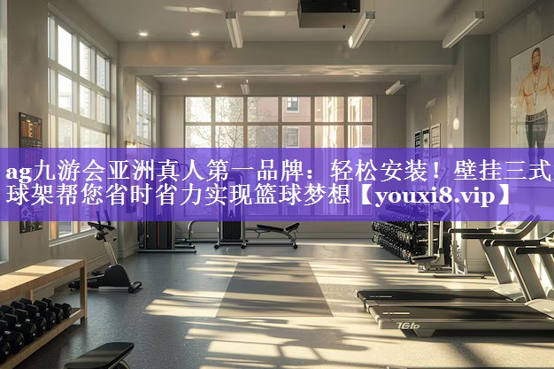 ag九游会亚洲真人第一品牌：轻松安装！壁挂三式篮球架帮您省时省力实现篮球梦想