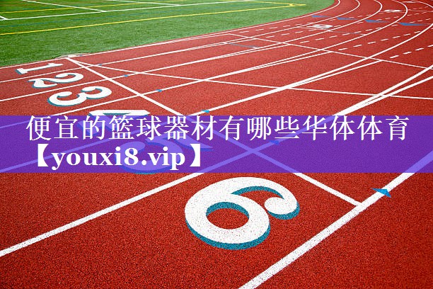 便宜的篮球器材有哪些华体体育
