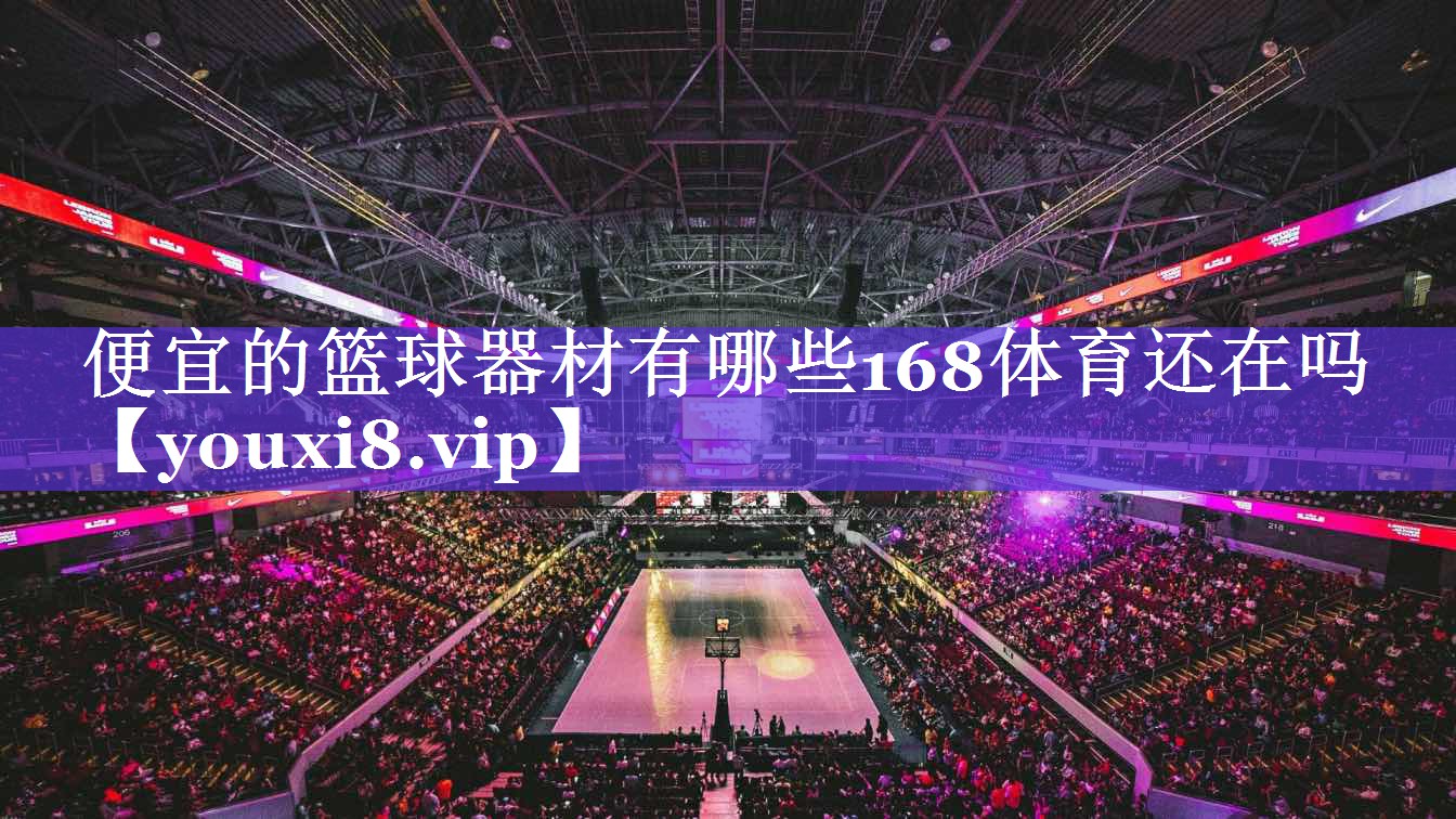 便宜的篮球器材有哪些168体育还在吗