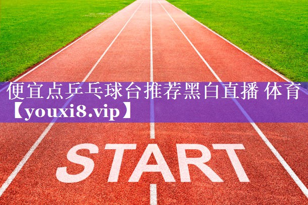 便宜点乒乓球台推荐黑白直播 体育