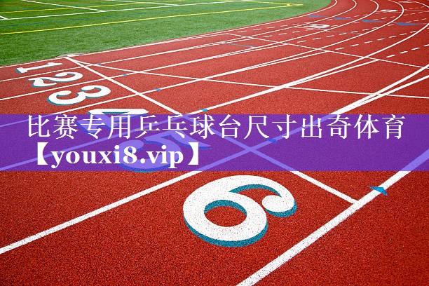 比赛专用乒乓球台尺寸出奇体育