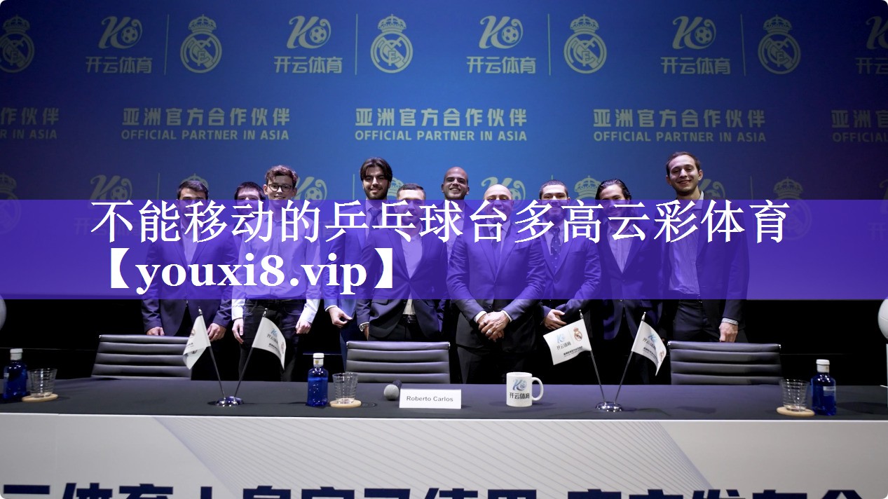 不能移动的乒乓球台多高云彩体育