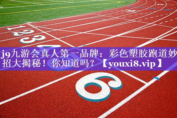 彩色塑胶跑道妙招大揭秘!你知道吗? 彩色塑胶跑道妙招大揭秘!你知道吗?