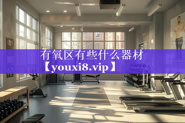 有氧区有些什么器材 有氧区有些什么器材
