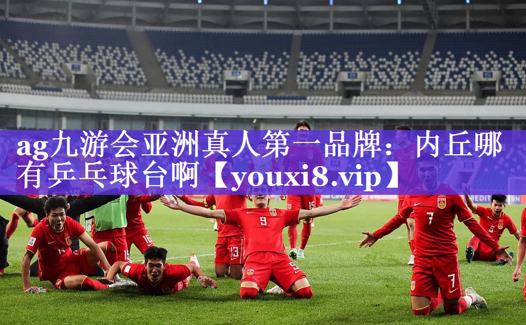 内丘哪有乒乓球台啊 内丘哪有乒乓球台啊