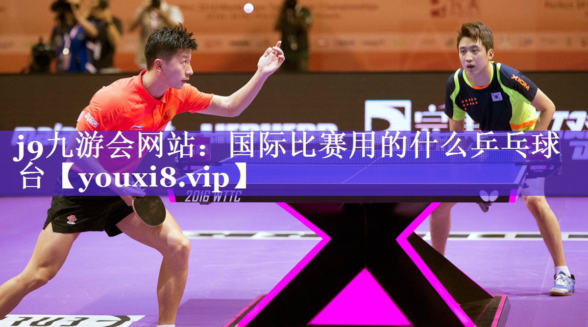 国际比赛用的什么乒乓球台 国际比赛用的什么乒乓球台