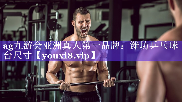 潍坊乒乓球台尺寸