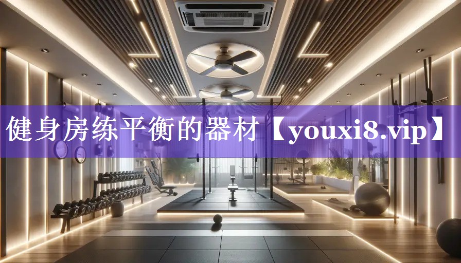 健身房练平衡的器材 健身房练平衡的器材