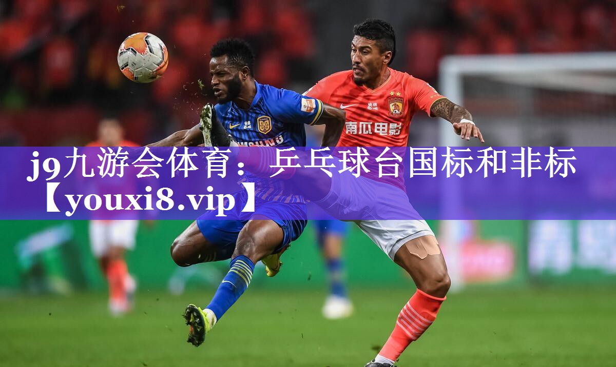 乒乓球台国标和非标 乒乓球台国标和非标