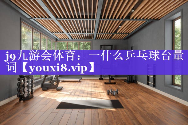 一什么乒乓球台量词 一什么乒乓球台量词